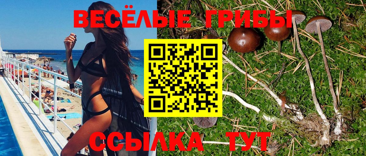 Псилоцибиновые грибы мицелий  Вход с VPN  Псилоцибиновые грибы мицелий  Соликамск 